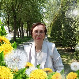 ���� �������, ������, 58 ��� - ��������� 8 ������� 2025