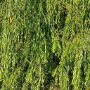 ���� ������, ����������, 46 ��� - ��������� 5 ���� 2025