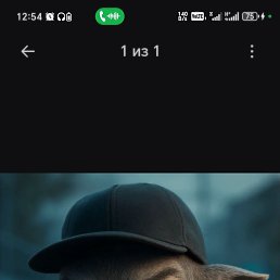 ���� ����, ��������, 44 ���� - ��������� 24 ���� 2026