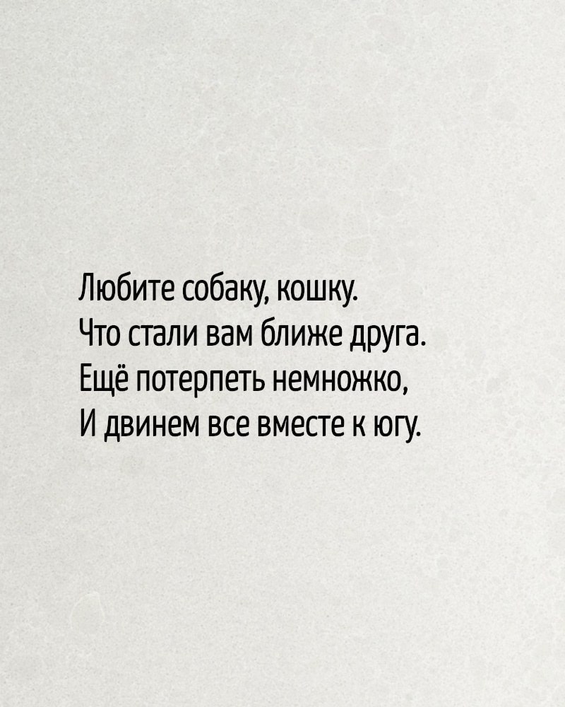 ������� ����� ������� ������ - 20 ������� 2025 � 21:33 - 7