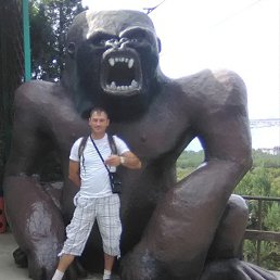 ������, ������, 42 ����