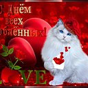 ���� ����, �����-��������� - ��������� 14 ������� 2026 � ������ ������ ��������