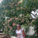 ���� �������, ������ ��������, 69 ��� - ��������� 28 ������ 2026 � ������ ���� ����������