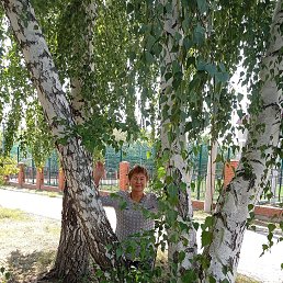 ���� �������, ��������, 66 ��� - ��������� 14 ��� 2024