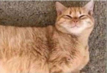 ������ ����� � ��������� ����� - 2