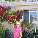 ���� �������, ������, 56 ��� - ��������� 27 ������� 2023 � ������ ���� ����������
