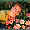 ���� �����, ��������, 41 ��� - ��������� 1 ����� 2025 � ������ ���� ����������