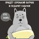 ���� ����, �����, 48 ��� - ��������� 27 ������� 2024 � ������ ���� ����������