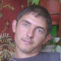 ����, ������, 41 ���