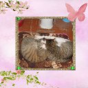 ���� ������, ����-��� - ��������� 9 ���� 2025 � ������ ���� �� ���� � ������� ������� � �������. ����� 4�