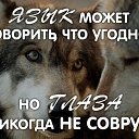 ���� ������, ������, 39 ��� - ��������� 6 ������� 2026 � ������ ���� ����������