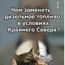 ���� ��������, ������, 42 ���� - ��������� 6 ����� 2026 � ������ ���� ����������