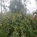 ���� �������, ����, 78 ��� - ��������� 12 �������� 2024 � ������ ������ ��������