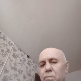 ������, 66 ���, �����