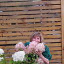 ���� ����, ������������ - ��������� 31 ������� 2025 � ������ ���� ����������