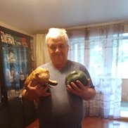 ��������, 60 ���, �����������