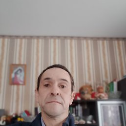 , 48, 