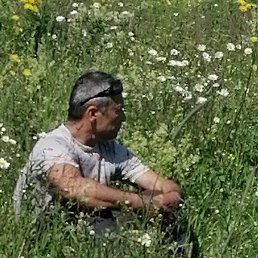 �������, ������, 55 ���