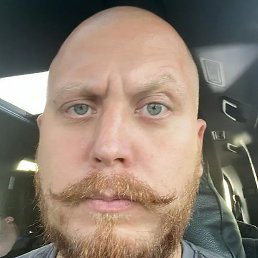 ������, ���������, 36 ���