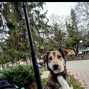 ���� ��������, �����-���������, 52 ���� - ��������� 30 ������� 2023