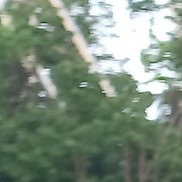 �������, 40 ���, ������-��-����