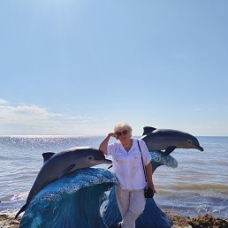 �����, ������, 74 ����