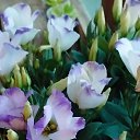 ���� ���������, �����, 66 ��� - ��������� 2 ������� 2025 � ������ ������ ��������