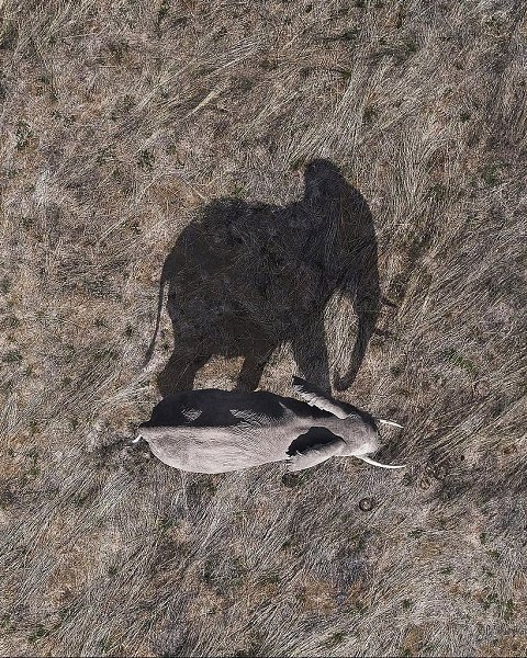 ���� - 27 ������� 2025 � 23:36 - 6