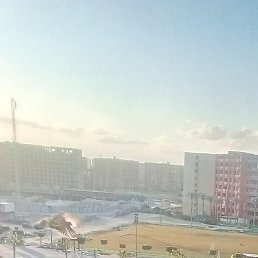 �����, ��������, 50 ���