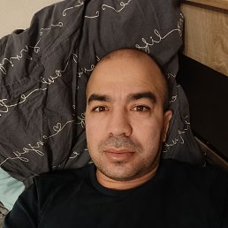 �����, 38 ���, ������