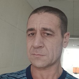 ����, �������, 41 ���