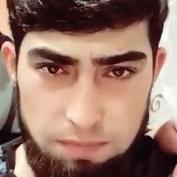 �����, ��������, 22 ����