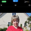 ���� �����, ����, 40 ��� - ��������� 17 ���� 2026 � ������ ���� ����������