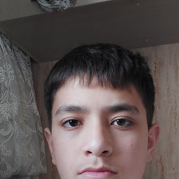 ���� Avaz, �����-���������, 26 ��� - ��������� 20 ��� 2026
