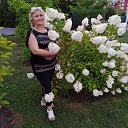 ���� ������, �����������, 61 ��� - ��������� 4 ������� 2025 � ������ ���� ����������