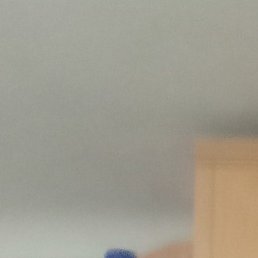 ������, �������, 54 ����