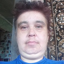 ���, ������, 41 ���