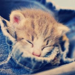 �����, �������, 45 ���