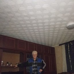 ���� ����, ������, 63 ���� - ��������� 14 ������ 2026