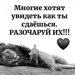 ����, ������, 38 ���