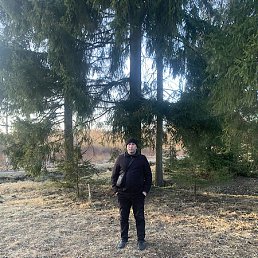 ������, �����-���������, 46 ���