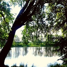 ������, ������, 65 ���