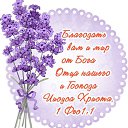 ���� �������, ���� - ��������� 3 ������� 2025 � ������ ������ ��������