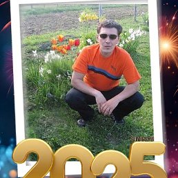 , 41, 