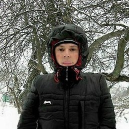 ����, ������