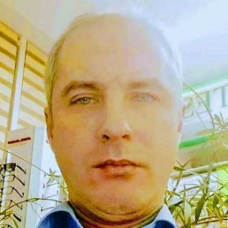 ����, �������, 42 ����