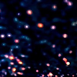 ����, ������, 51 ���