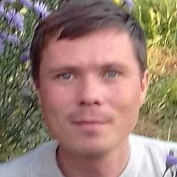 ������, �������, 41 ���