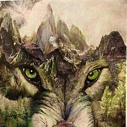 ���������, �����������, 46 ���