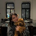 ���� �����, �����-���������, 32 ���� - ��������� 5 ������� 2026 � ������ ���� ����������